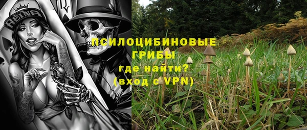 мяу мяу мука Алексин