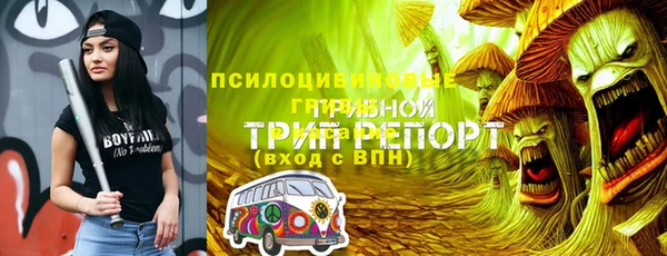 ешки Алексеевка