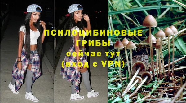 дмт Остров