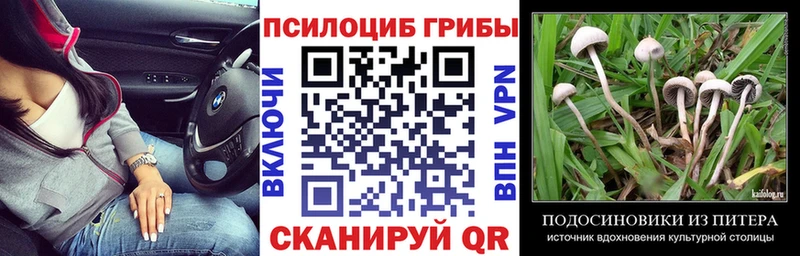 Псилоцибиновые грибы MAGIC MUSHROOMS Курганинск