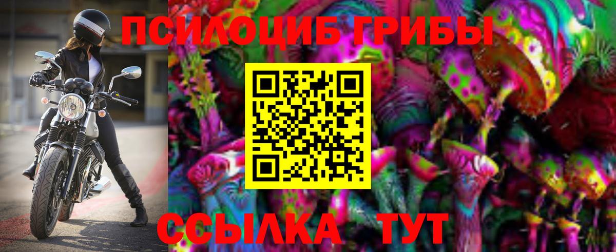 Галлюциногенные грибы GOLDEN TEACHER  Вход с VPN  Курганинск 