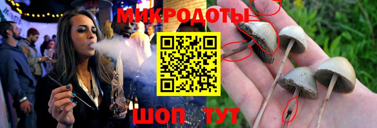 Галлюциногенные грибы MAGIC MUSHROOMS Курганинск